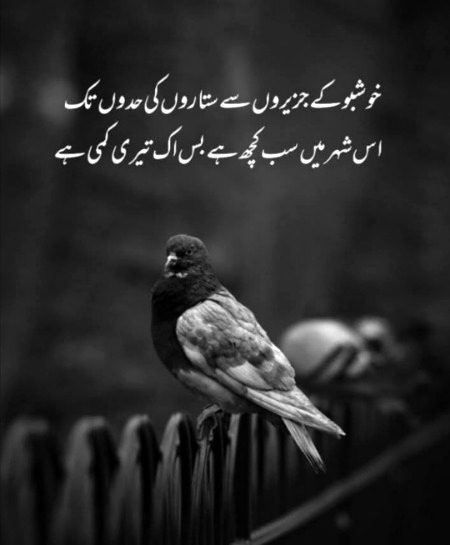 Sad Poetry image