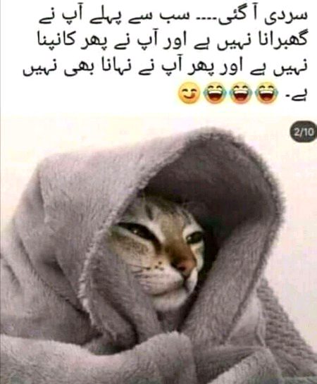 Memes & Satire image