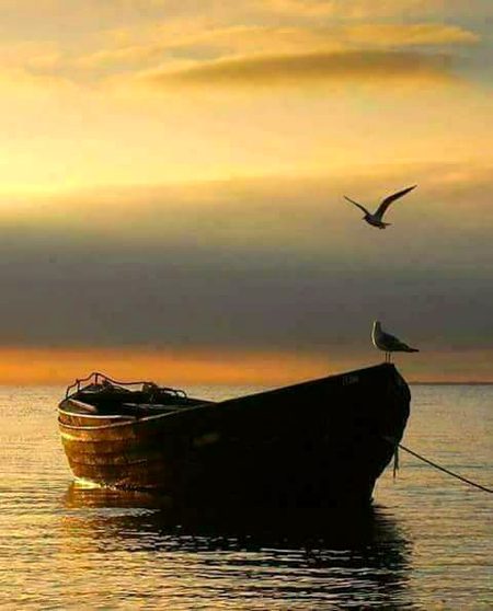 ﮈﻭﺑﮯ ﮨﻮﻭﮞ ﮐﻮ ﮨﻢ ﻧﮯ ' ﺑﭩﮭﺎﯾﺎ ﺗﮭﺎ ﺍﻭﺭ ﭘﮭﺮ
ﮐﺸﺘﯽ ﮐﺎ ﺑﻮﺟﮫ ﮐﮩﮧ ﮐﮯ' ﺍﺗﺎﺭﺍ ﮨﻤﯿﮟ ﮔﯿﺎ