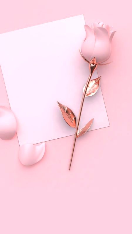 ✨✨💫💫✨✨