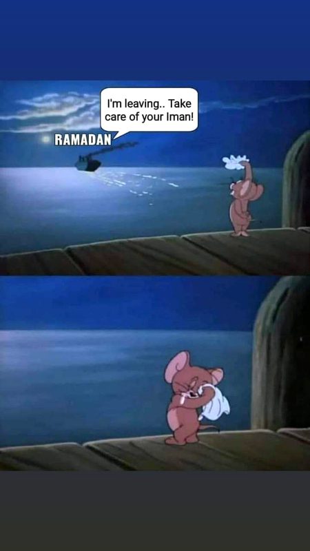 Memes & Satire image