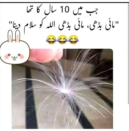 Memes & Satire image