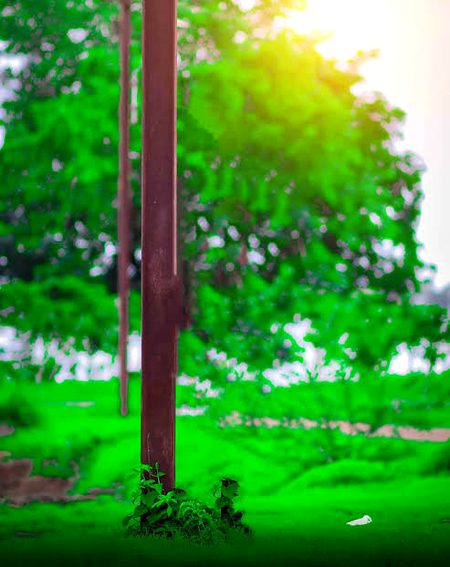 Beautiful Nature image