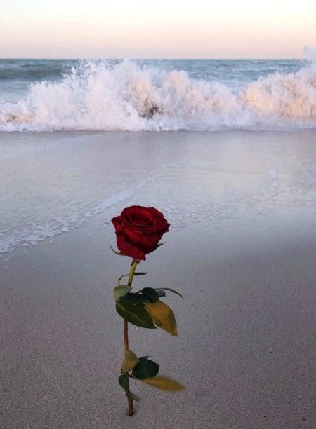 Beautiful Nature image