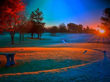 Beautiful Nature image