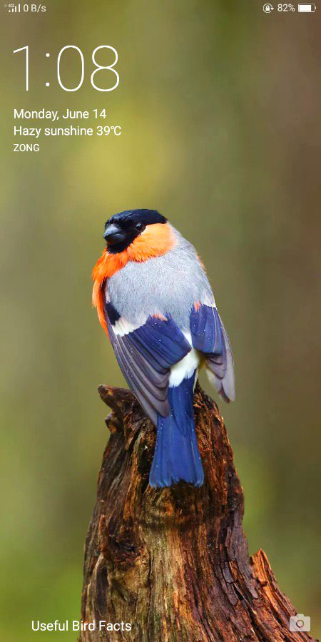 Beautiful Nature image