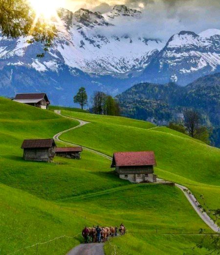 Beautiful Nature image