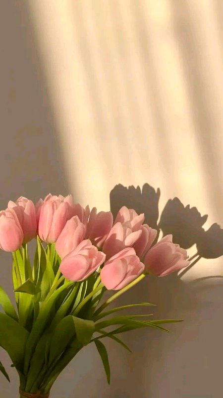 Beautiful Nature image