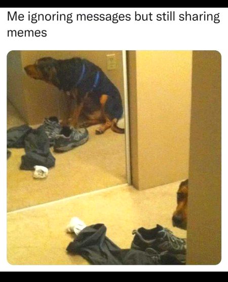 Memes & Satire image