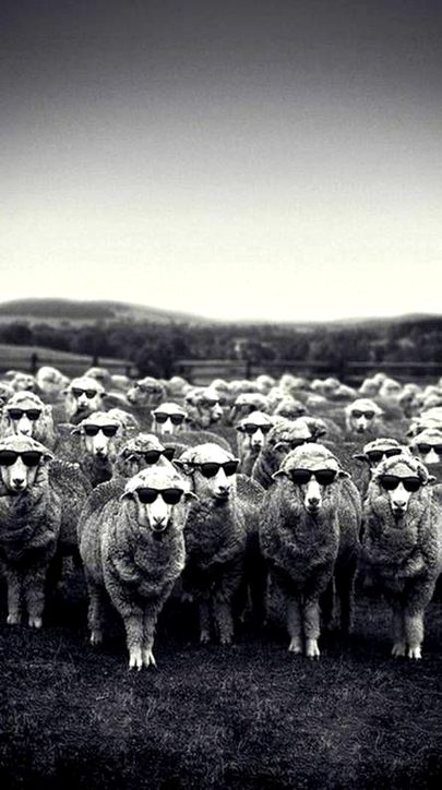 Beautiful Nature image