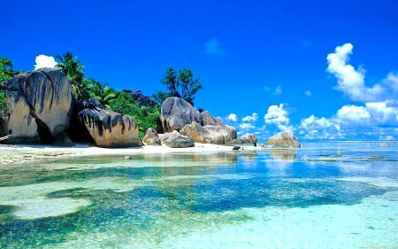 Beautiful Nature image