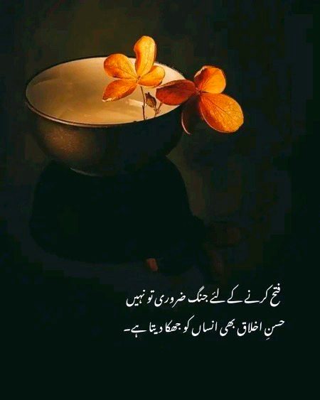 Mjy interest ni ha khud sa cg lgny ka aj k bd nai lgao gi unfollow kr chuki ho tc Khush raho all