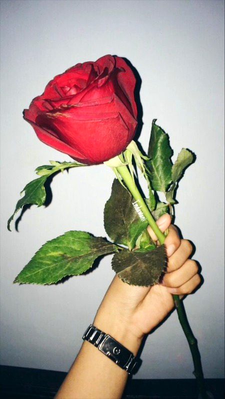 Beautiful Nature image