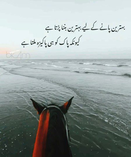 👍👍🥀🥀🥀👍