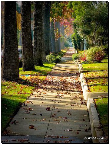 Beautiful Nature image