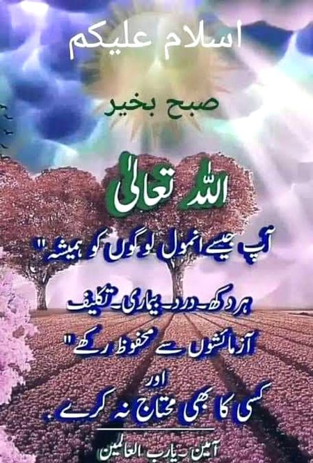 Islamic Quotes image