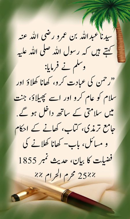 Islamic Quotes image