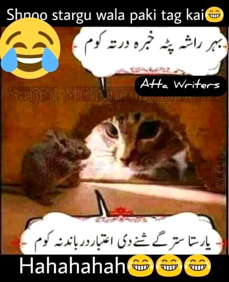 Memes & Satire image