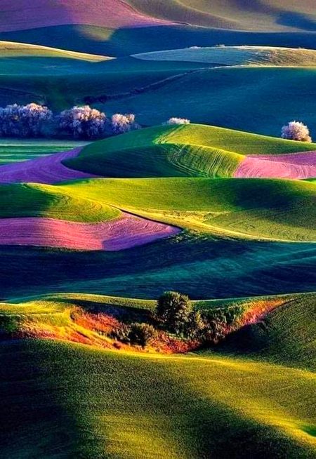 Beautiful Nature image