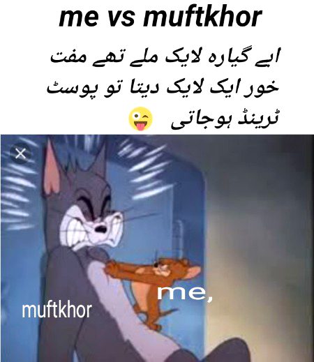 Memes & Satire image