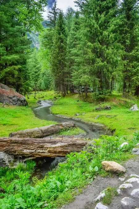 Beautiful Nature image