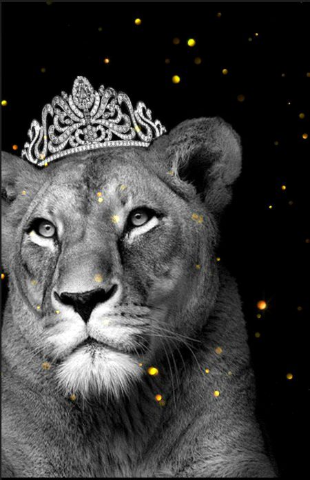 Beautiful Nature image