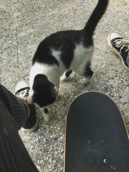 Beautiful Nature image