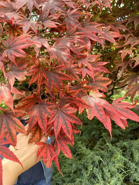 Beautiful Nature image