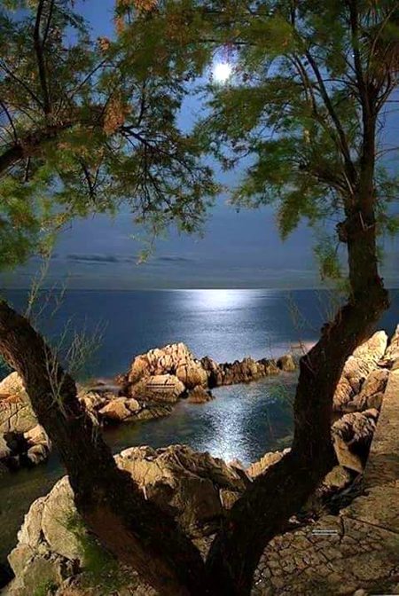 Beautiful Nature image