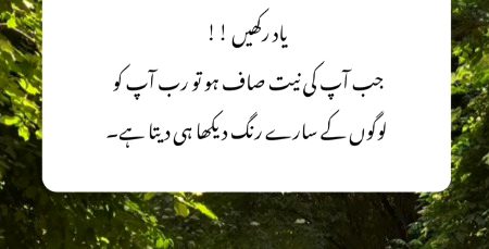 ✨💫✨💫✨💫✨💫