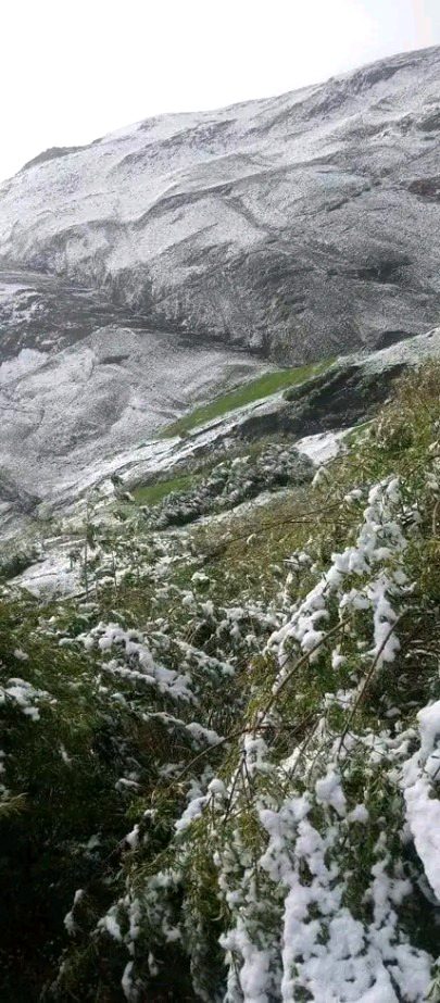 Beautiful Nature image