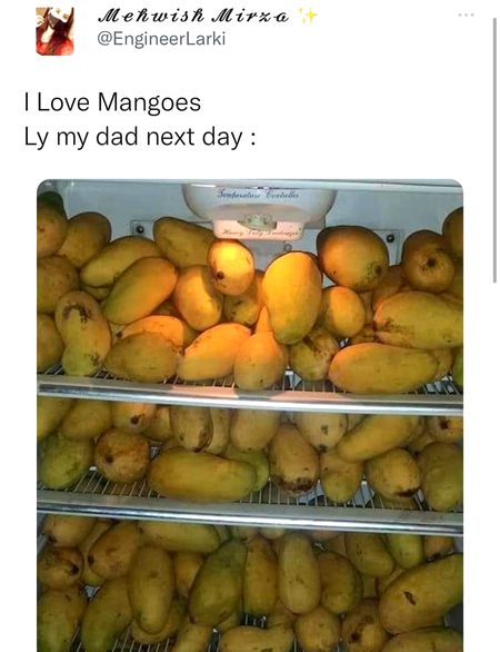 MaNgO loVeR😋