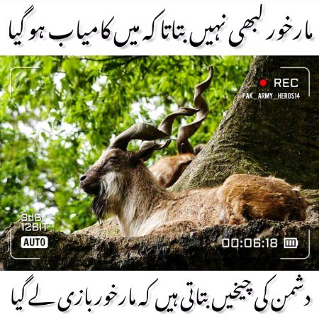 Motivational Quotes image