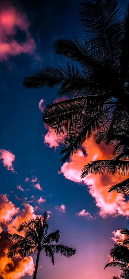 Beautiful Nature image