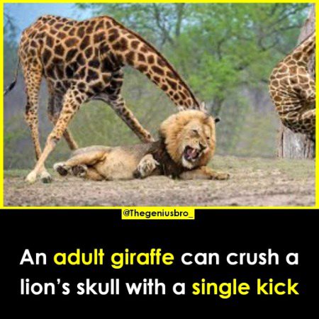 Interesting Posts image