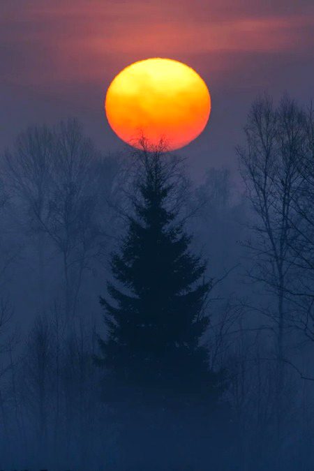 Beautiful Nature image