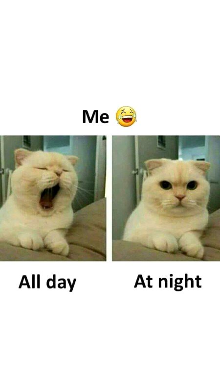 Memes & Satire image