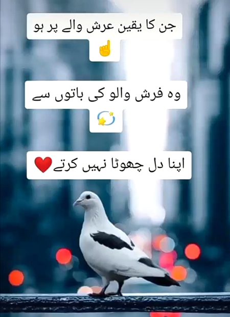 Islamic Quotes image