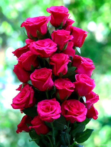 Beautiful Nature image