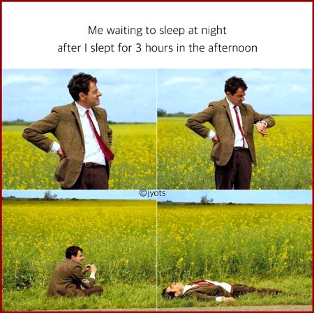 Memes & Satire image