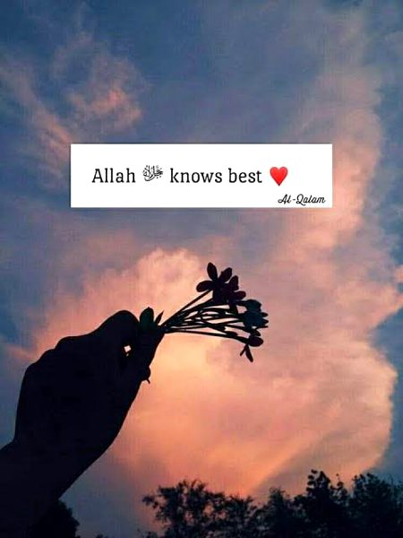 .....🥰🥰🥰.....