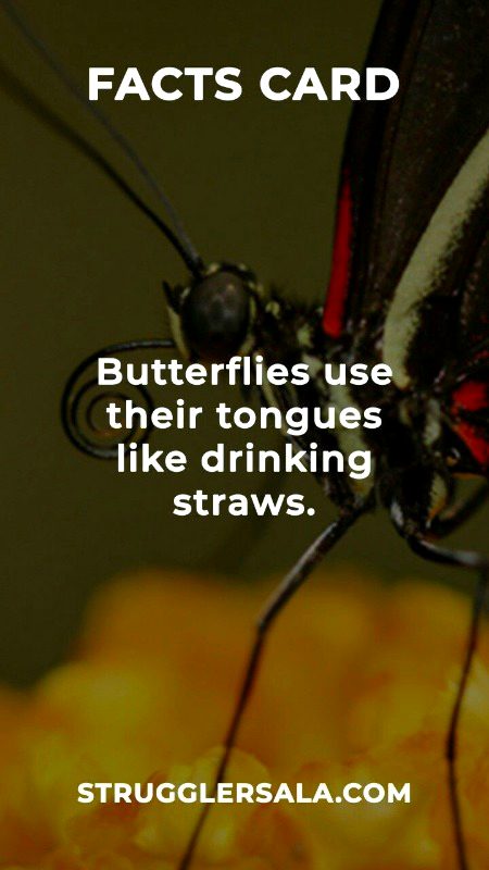 Interesting Posts image