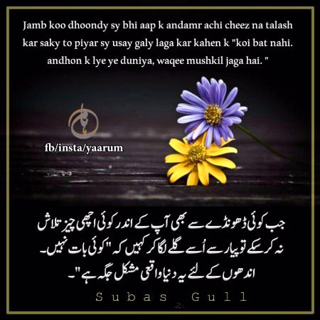 Romantic Novels image