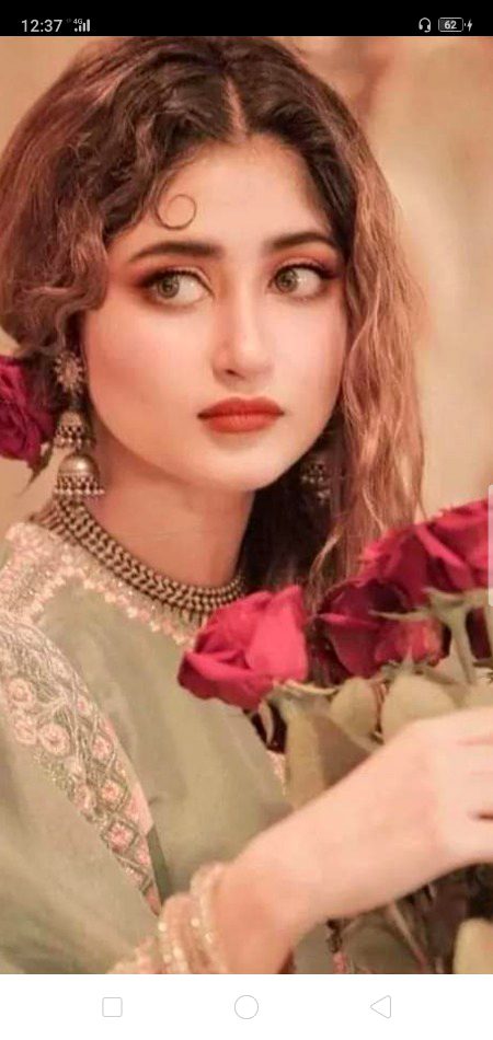 Pakistani Celebs image