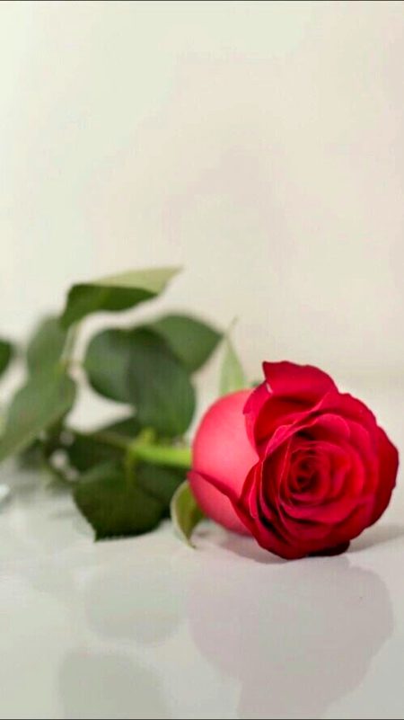 Beautiful Nature image