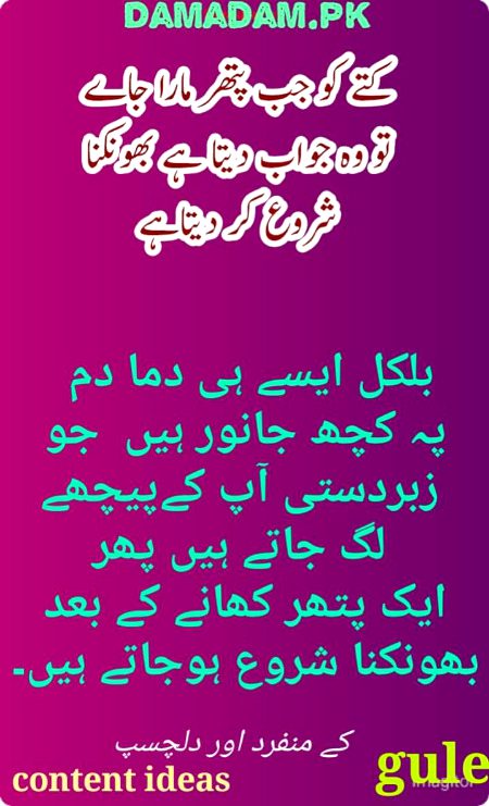 Damadam Roasting image