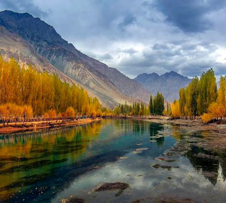 Beautiful Nature image