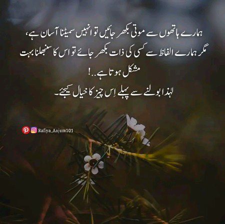 🌺❇️🌺❇️🌺❇️✅🆗️💯