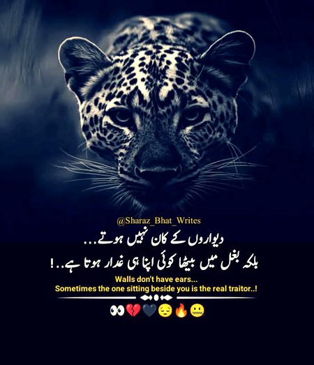 Attitude Poetry image