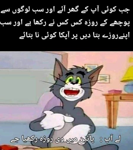 Memes & Satire image